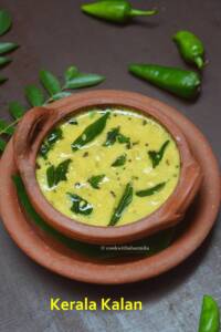 Kerala Kalan Curry