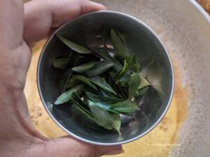 Add in Curry Leaves